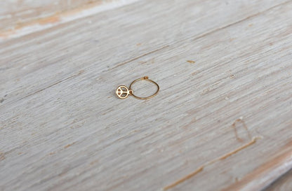 Little Charm Single Hoop